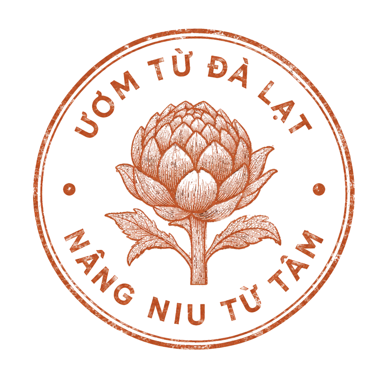 Ươm từ Đà Lạt — Nâng niu từ tâm